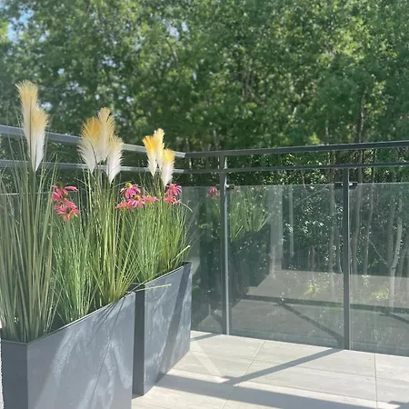 Zielona Dzielnica * 글리비체