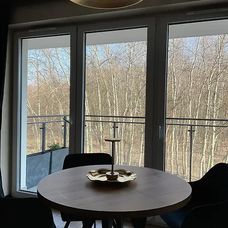 Zielona Dzielnica * 글리비체