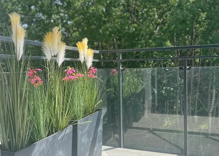 Zielona Dzielnica * 글리비체